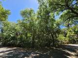 30 Sabal Palm Trail - Photo 2