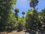 30 Sabal Palm Trail - Photo 3