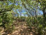 30 Sabal Palm Trail - Photo 4