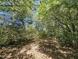 30 Sabal Palm Trail - Photo 5