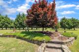296 Shoreline Drive - Photo 66