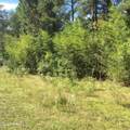Tbd Plank Road - Photo 3