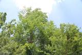 0 Wiley Gaskins Road - Photo 18