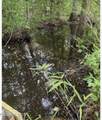 Near 2151 Dolph Lewis Road - Photo 20