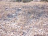 26 Black Skimmer Trail - Photo 3