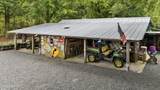 9759 Nc Highway 210 - Photo 33