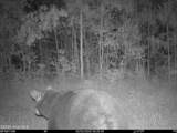 0 Nc 33 Off - Photo 10