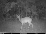 0 Nc 33 Off - Photo 11