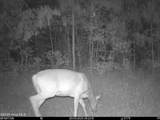0 Nc 33 Off - Photo 12