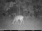 0 Nc 33 Off - Photo 13