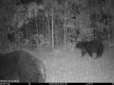 0 Nc 33 Off - Photo 14