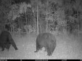 0 Nc 33 Off - Photo 15