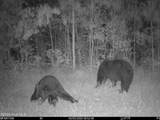 0 Nc 33 Off - Photo 16