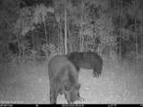 0 Nc 33 Off - Photo 17