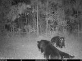 0 Nc 33 Off - Photo 18