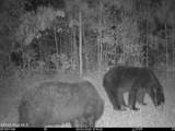 0 Nc 33 Off - Photo 19