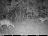 0 Nc 33 Off - Photo 9