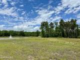 31 Dragonfly Lane - Photo 4