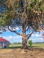 4384 Race Track Road - Photo 35