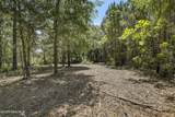 212 Fullard Drive - Photo 5