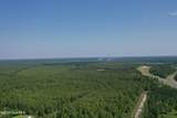 1650 Plantation Road - Photo 11