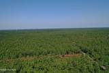 1650 Plantation Road - Photo 6