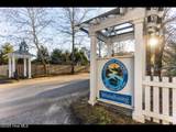 525 Piccolo Lane - Photo 9