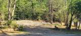1229 Bee Tree Road - Photo 2