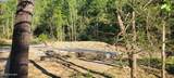 1229 Bee Tree Road - Photo 4