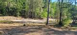 1229 Bee Tree Road - Photo 5
