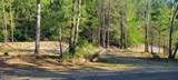 1229 Bee Tree Road - Photo 6