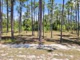 3066 Moss Hammock Wynd - Photo 1