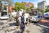 21 Front Street - Photo 29