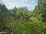 0 White Farm Road - Photo 10