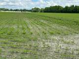 Tbd Tulls Creek Road - Photo 14