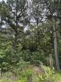 316 Batts Island Road - Photo 3