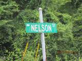 48 Nelson Street - Photo 4