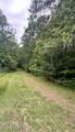 Lot 1b 117 Highway Off Nc - Photo 2