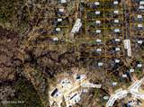 340 Tuliptree Road - Photo 1