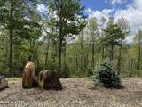 200 Wintergreen Patch Lane - Photo 22