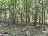 Lot 23 Buckhorn Church Road - Photo 8