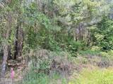 Lot 23 Buckhorn Church Road - Photo 10