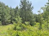 Lot 24 Buckhorn Church Road - Photo 5