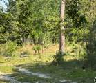 364 Ponderosa Drive - Photo 4