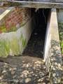 209 Daniel Street - Photo 10
