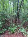00 Loop Road Road - Photo 10