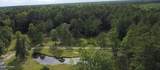 7077 Healy Haven Lane - Photo 6