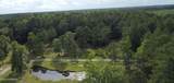 7077 Healy Haven Lane - Photo 12