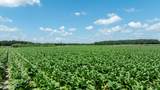 000 Oberry Road - Photo 11