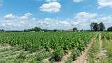 000 Oberry Road - Photo 14